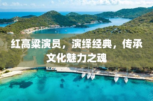 红高粱演员，演绎经典，传承文化魅力之魂