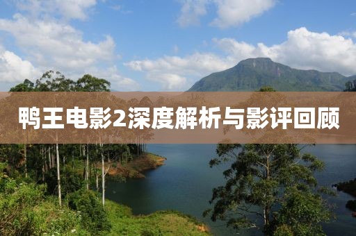 鸭王电影2深度解析与影评回顾