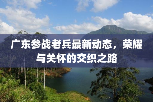 广东参战老兵最新动态，荣耀与关怀的交织之路