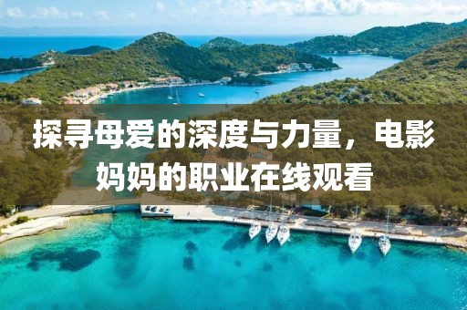 探寻母爱的深度与力量，电影妈妈的职业在线观看