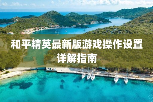 和平精英最新版游戏操作设置详解指南