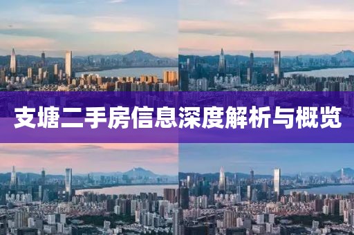 支塘二手房信息深度解析与概览