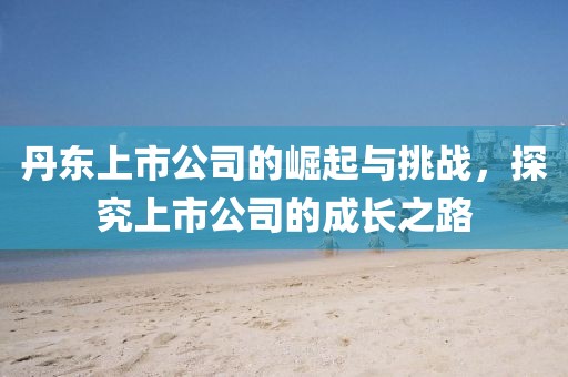 丹东上市公司的崛起与挑战，探究上市公司的成长之路