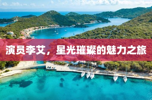 演员李艾，星光璀璨的魅力之旅