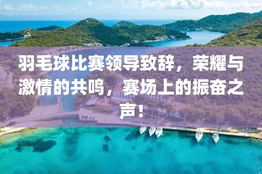 羽毛球比赛领导致辞，荣耀与激情的共鸣，赛场上的振奋之声！