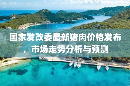国家发改委最新猪肉价格发布，市场走势分析与预测