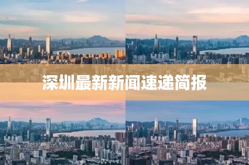 深圳最新新闻速递简报
