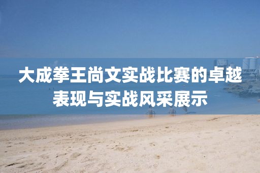 大成拳王尚文实战比赛的卓越表现与实战风采展示