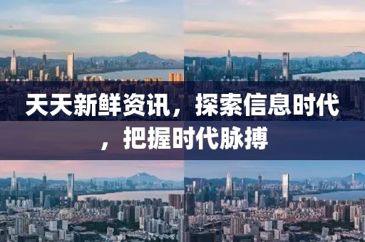 天天新鲜资讯，探索信息时代，把握时代脉搏