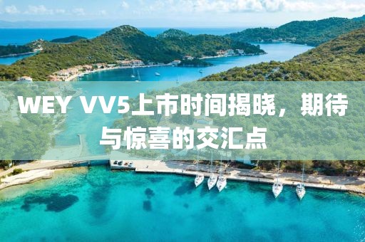 WEY VV5上市时间揭晓，期待与惊喜的交汇点