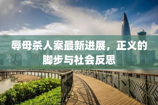 辱母杀人案最新进展，正义的脚步与社会反思