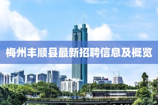 梅州丰顺县最新招聘信息及概览