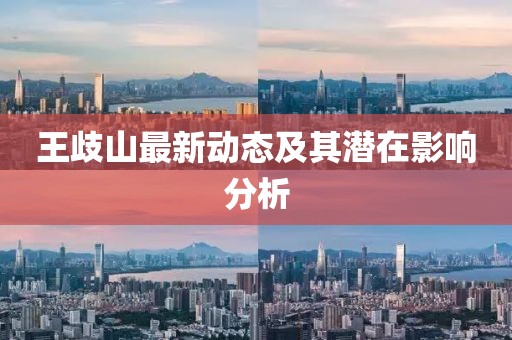 王歧山最新动态及其潜在影响分析