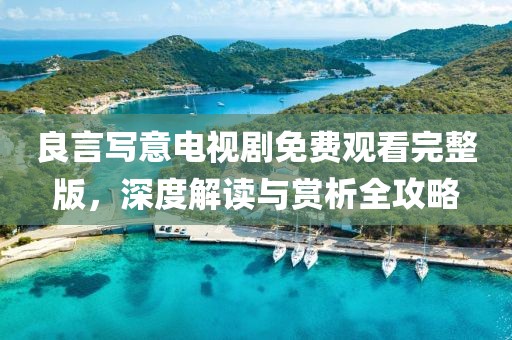 良言写意电视剧免费观看完整版，深度解读与赏析全攻略