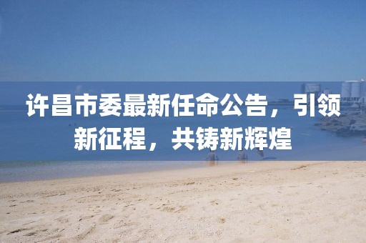 许昌市委最新任命公告，引领新征程，共铸新辉煌