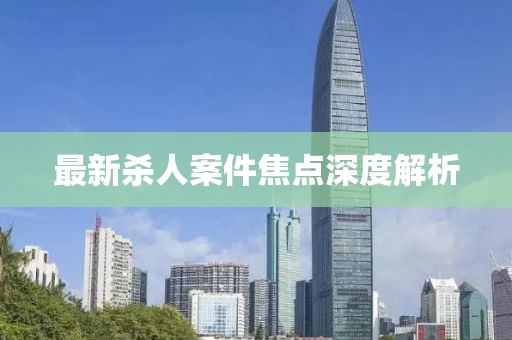 最新杀人案件焦点深度解析