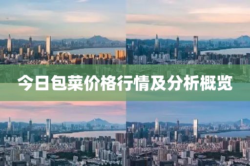 今日包菜价格行情及分析概览