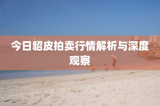 今日貂皮拍卖行情解析与深度观察