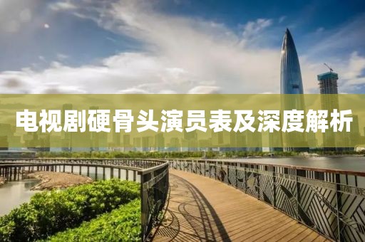 电视剧硬骨头演员表及深度解析