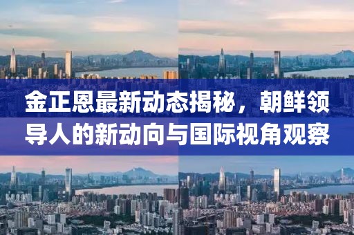 金正恩最新动态揭秘，朝鲜领导人的新动向与国际视角观察