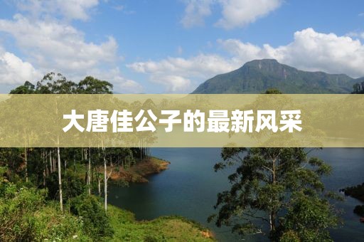 大唐佳公子的最新风采
