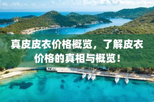 真皮皮衣价格概览，了解皮衣价格的真相与概览！
