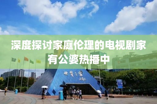 深度探讨家庭伦理的电视剧家有公婆热播中