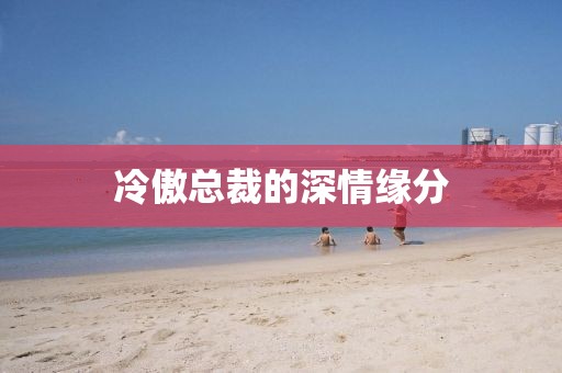 冷傲总裁的深情缘分