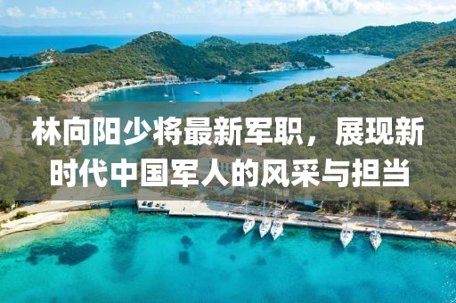 林向阳少将最新军职，展现新时代中国军人的风采与担当