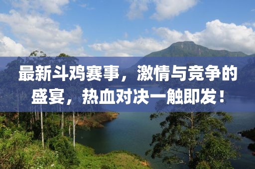 最新斗鸡赛事，激情与竞争的盛宴，热血对决一触即发！