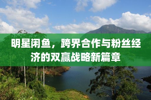 明星闲鱼，跨界合作与粉丝经济的双赢战略新篇章
