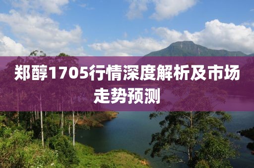 郑醇1705行情深度解析及市场走势预测