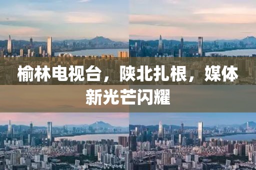 爷是那么黑 第8页