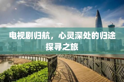电视剧归航，心灵深处的归途探寻之旅