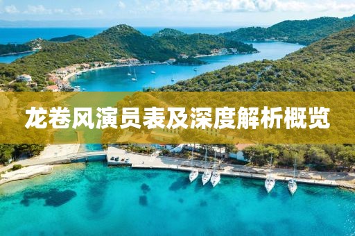 龙卷风演员表及深度解析概览