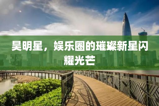 昊明星，娱乐圈的璀璨新星闪耀光芒