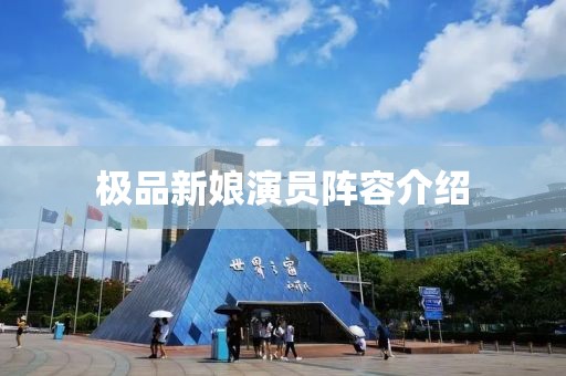 极品新娘演员阵容介绍