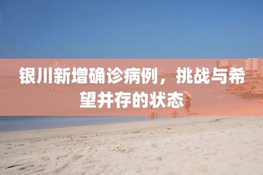 银川新增确诊病例，挑战与希望并存的状态