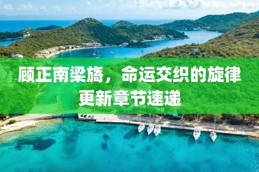 顾正南梁旖，命运交织的旋律更新章节速递