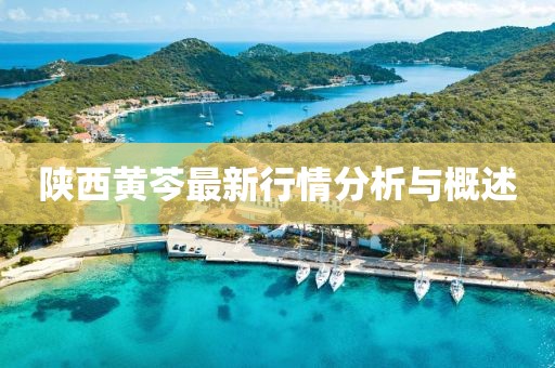 陕西黄芩最新行情分析与概述