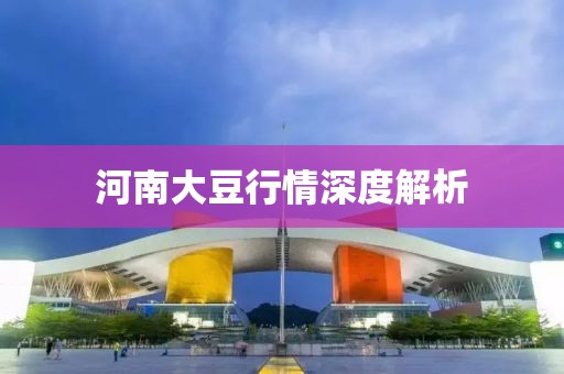 河南大豆行情深度解析
