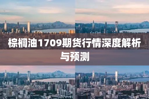 棕榈油1709期货行情深度解析与预测