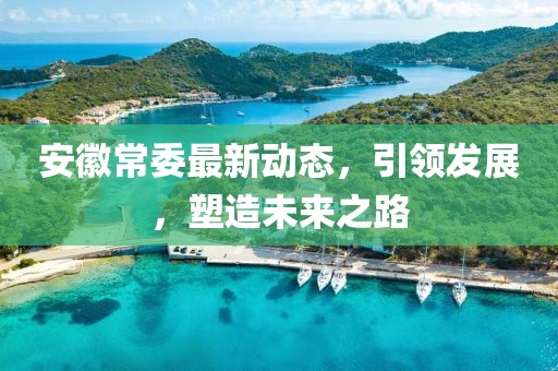 安徽常委最新动态，引领发展，塑造未来之路