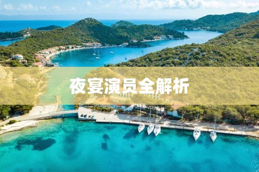 夜宴演员全解析