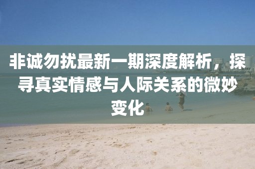 非诚勿扰最新一期深度解析，探寻真实情感与人际关系的微妙变化