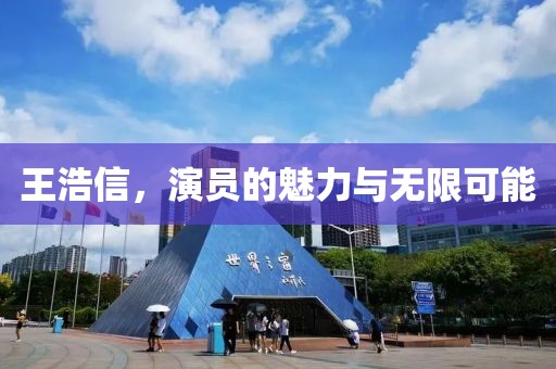 王浩信，演员的魅力与无限可能