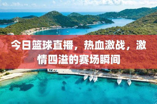 今日篮球直播，热血激战，激情四溢的赛场瞬间