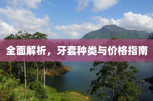 全面解析，牙套种类与价格指南