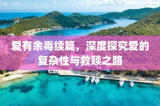 爱有余毒续篇，深度探究爱的复杂性与救赎之路