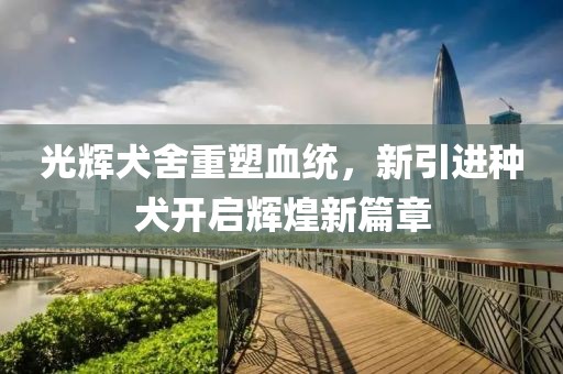 光辉犬舍重塑血统，新引进种犬开启辉煌新篇章